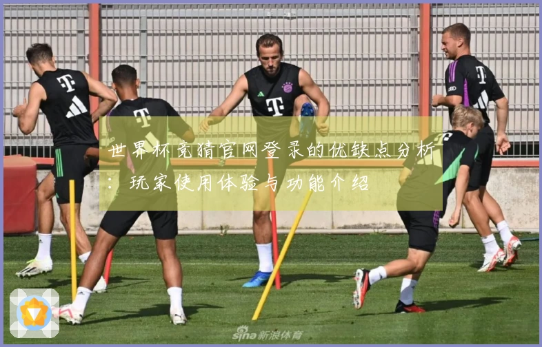 世界杯竞猜官网登录的优缺点分析：玩家使用体验与功能介绍