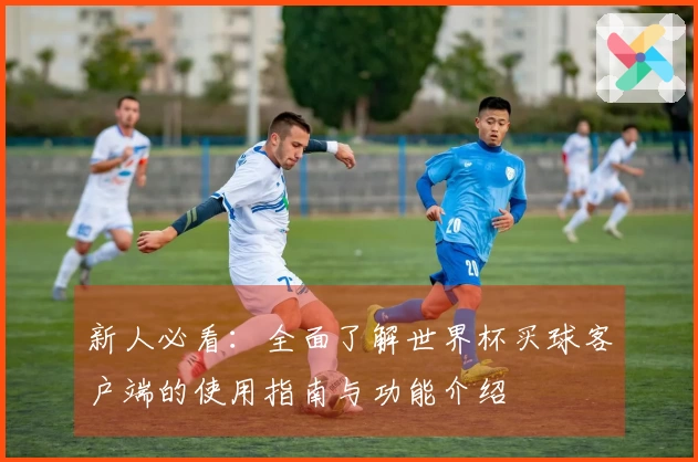 新人必看：全面了解世界杯买球客户端的使用指南与功能介绍
